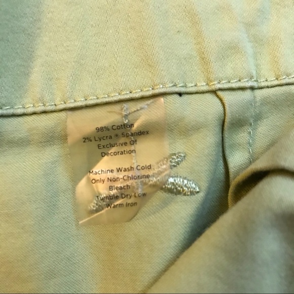 Talbots Light Green Dragonfly Embroidered Shorts, EUC, 6 - Picture 7 of 10